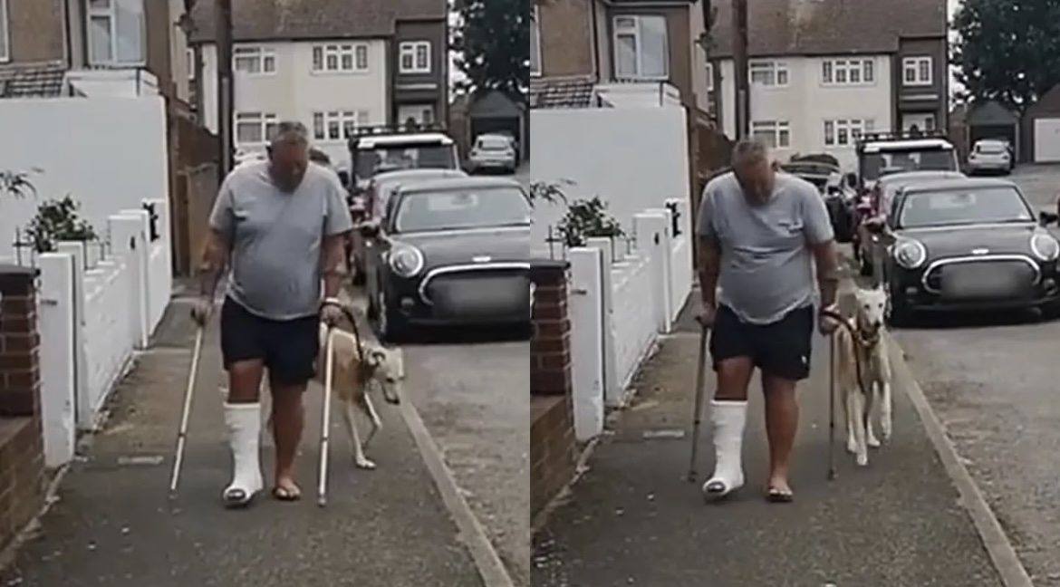 Creía que su perro estaba enfermo pero lo imitaba para no dejarlo solo