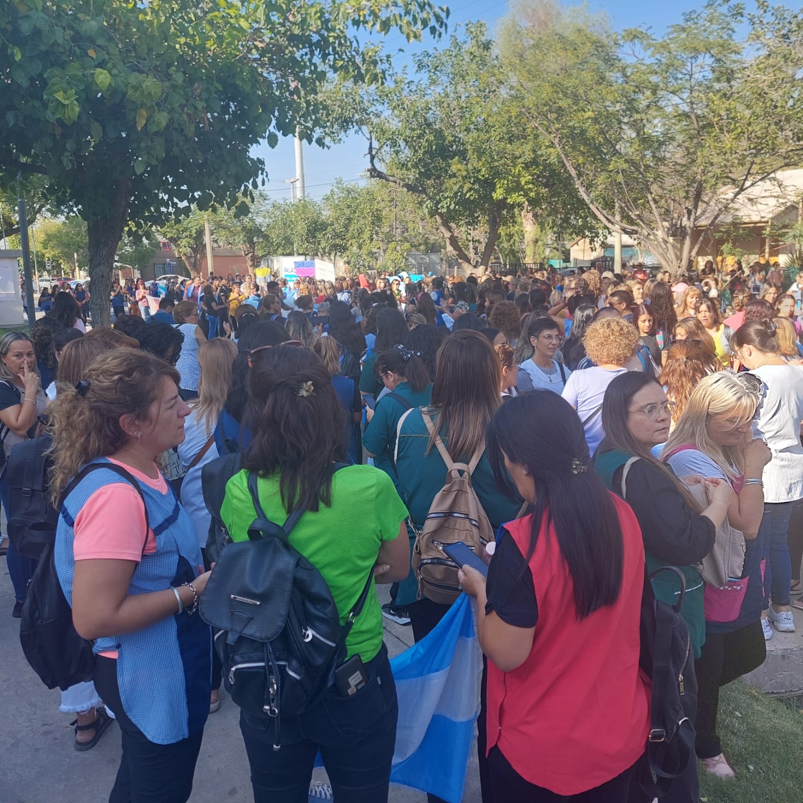 Docentes autoconvocados reclamaron por sueldos dignos y mejores prestaciones