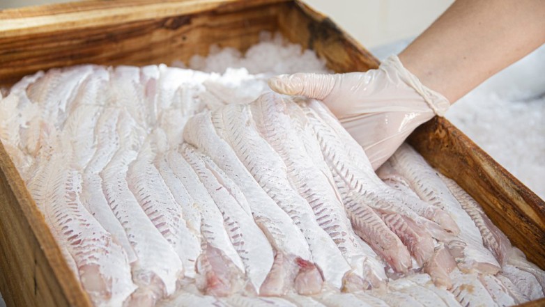 Conocé las características y requisitos para venta y consumo de pescado