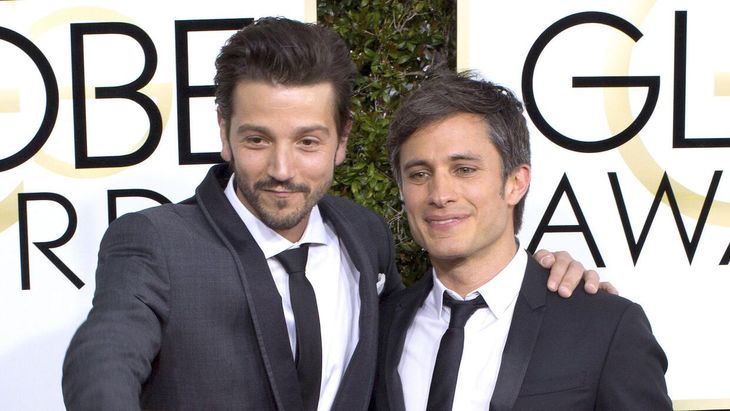 Gael GarcÃa Bernal y Diego Luna le ganaron un juicio millonario a una whiskera