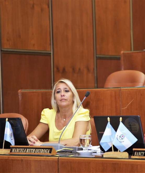 Una diputada de Juntos por El Cambió sufrió un robo en plena calle 
