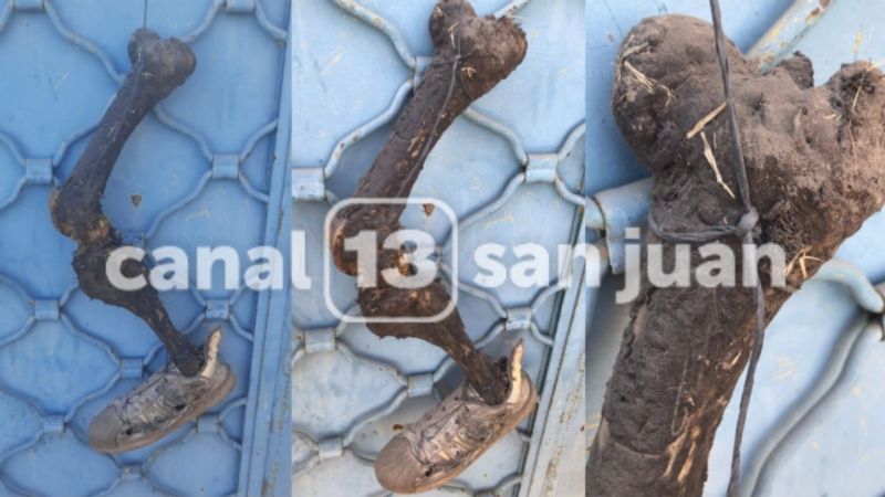 Macabro: encontraron huesos de una pierna con zapatilla colgados en un portón