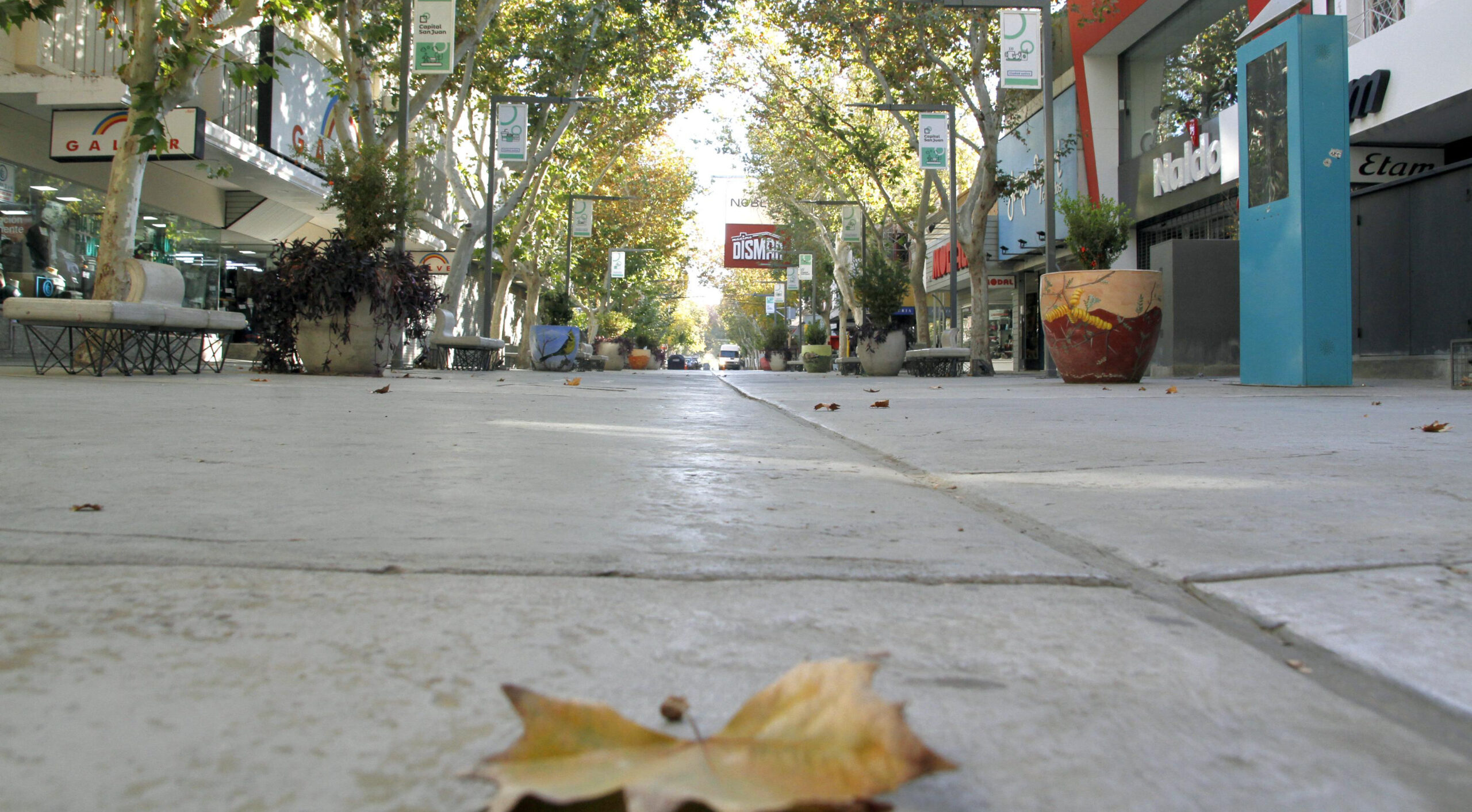 Fin de semana largo: ¿Cómo funcionan los servicios este viernes feriado?