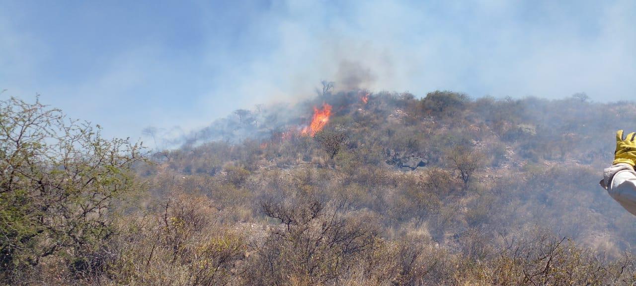 Se reactivaron los incendios en Valle Fértil y hay preocupación