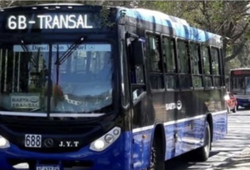 Salta: un colectivero chocó un perro y los vecinos lo apuñalaron