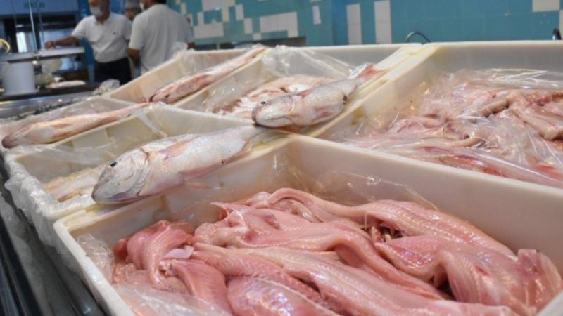 ¿Querés comer pescado para Semana Santa? Fijáte que pescaderías tendrán buen precio en San Juan