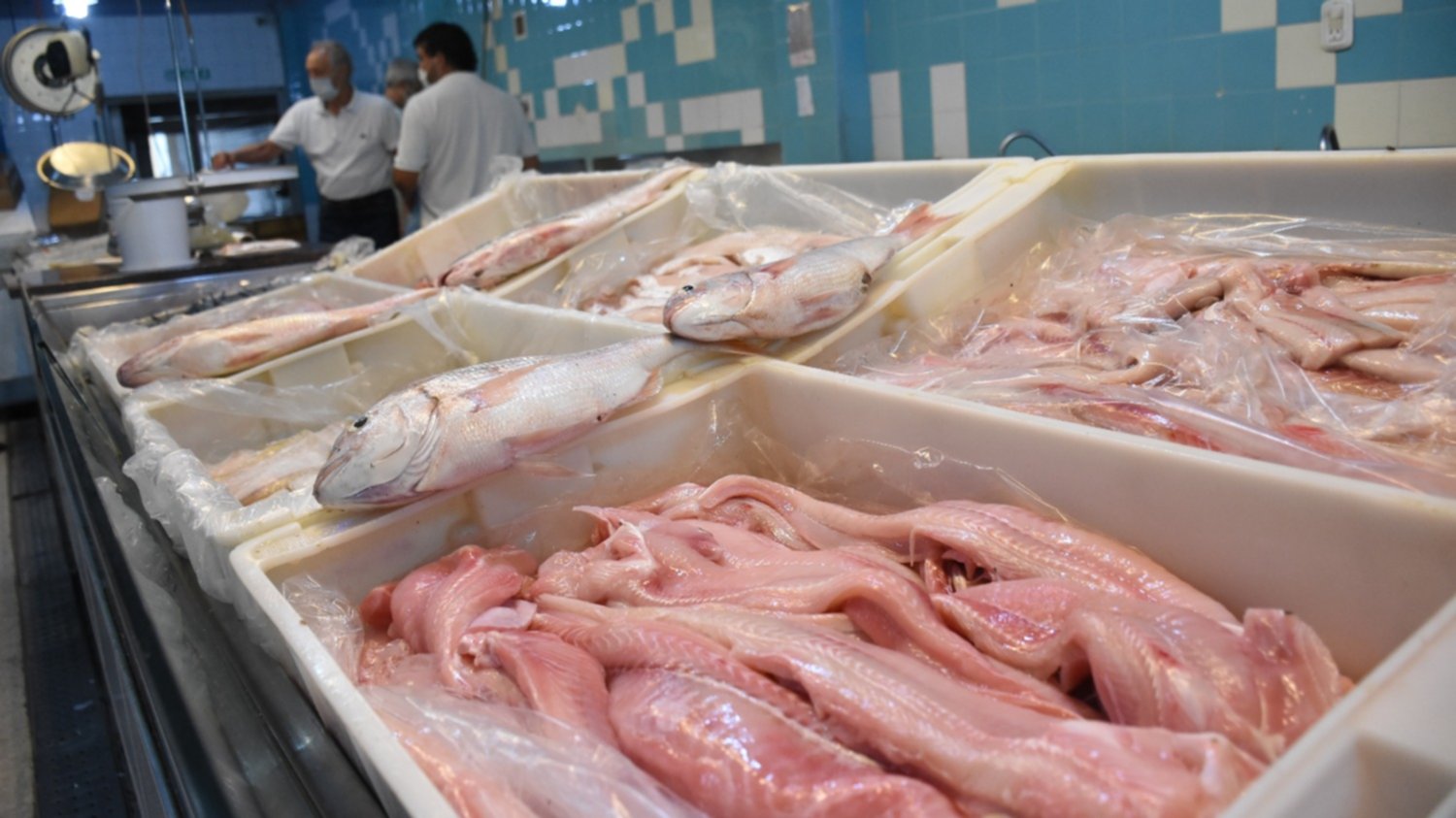 Lejos de los históricos promedios, la venta de pescado se duplicó en San Juan