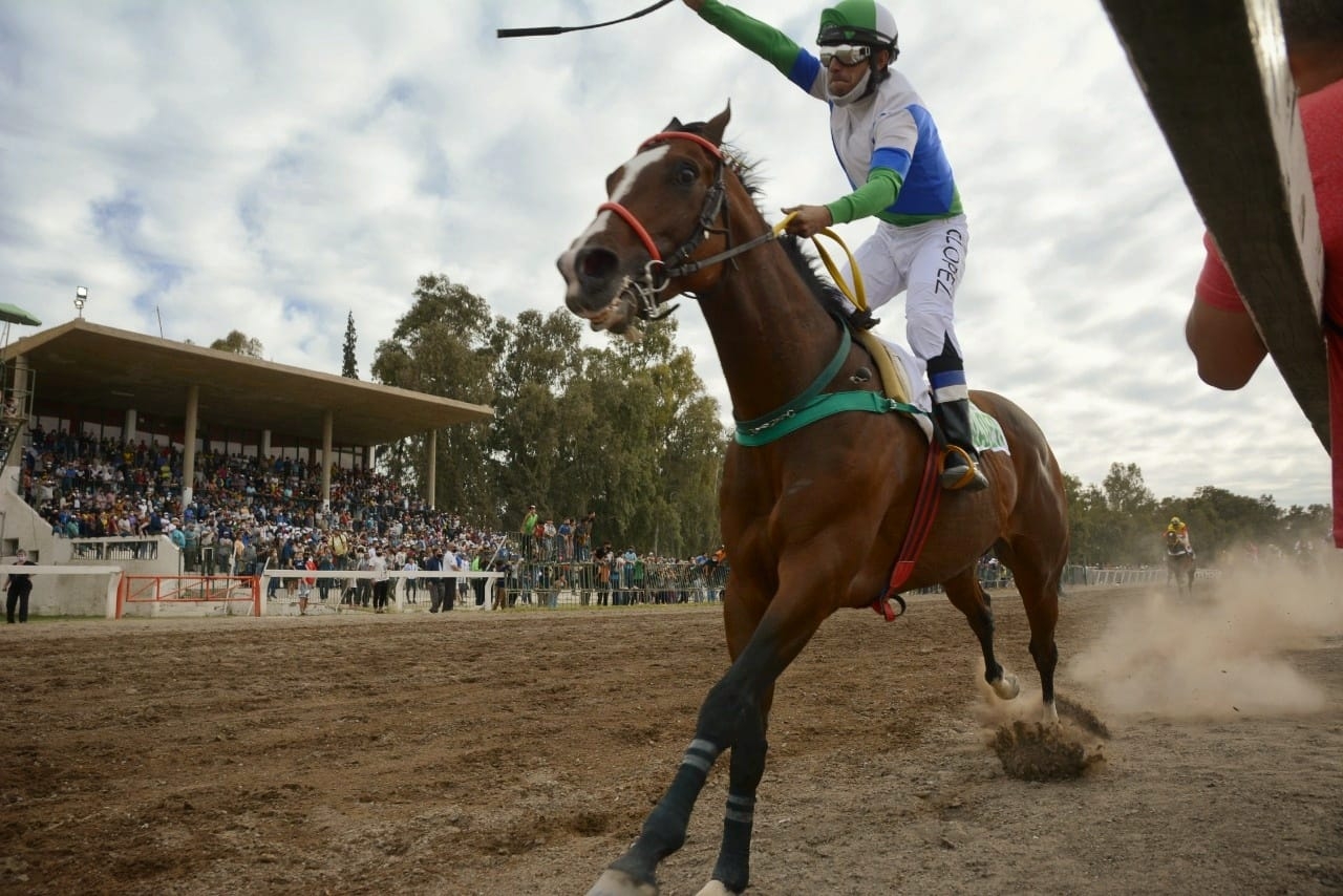 Un caballo mendocino fue el ganador del premio Domingo Faustino Sarmiento
