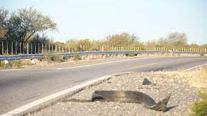 Una embarazada junto a sus hijos sufrió un terrible accidente 