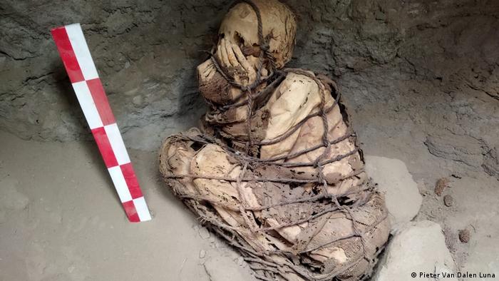 Hallaron una momia de adolescente de unos 800 años