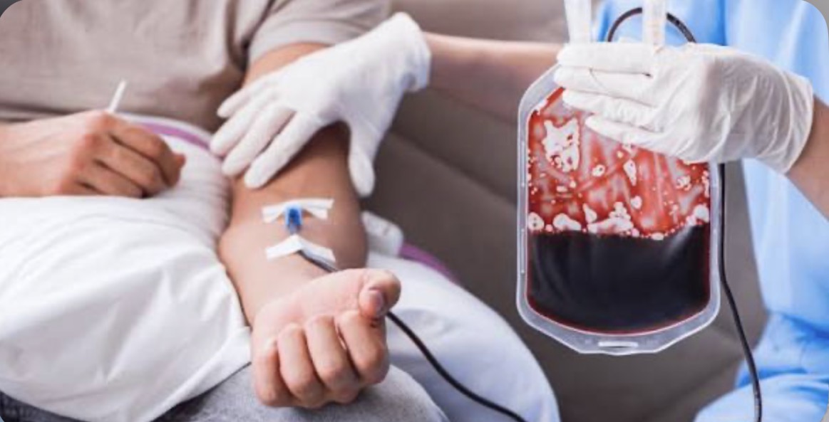 Testigos de Jehová cambian una histórica postura sobre la sangre: ahora cada fiel podrá decidir