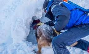 Rescataron a un nene luego de quedar sepultado bajo una capa de 2 metros de nieve