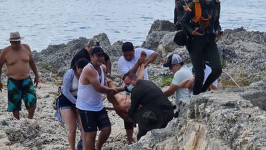Un turista italiano murió atacado por un tiburón