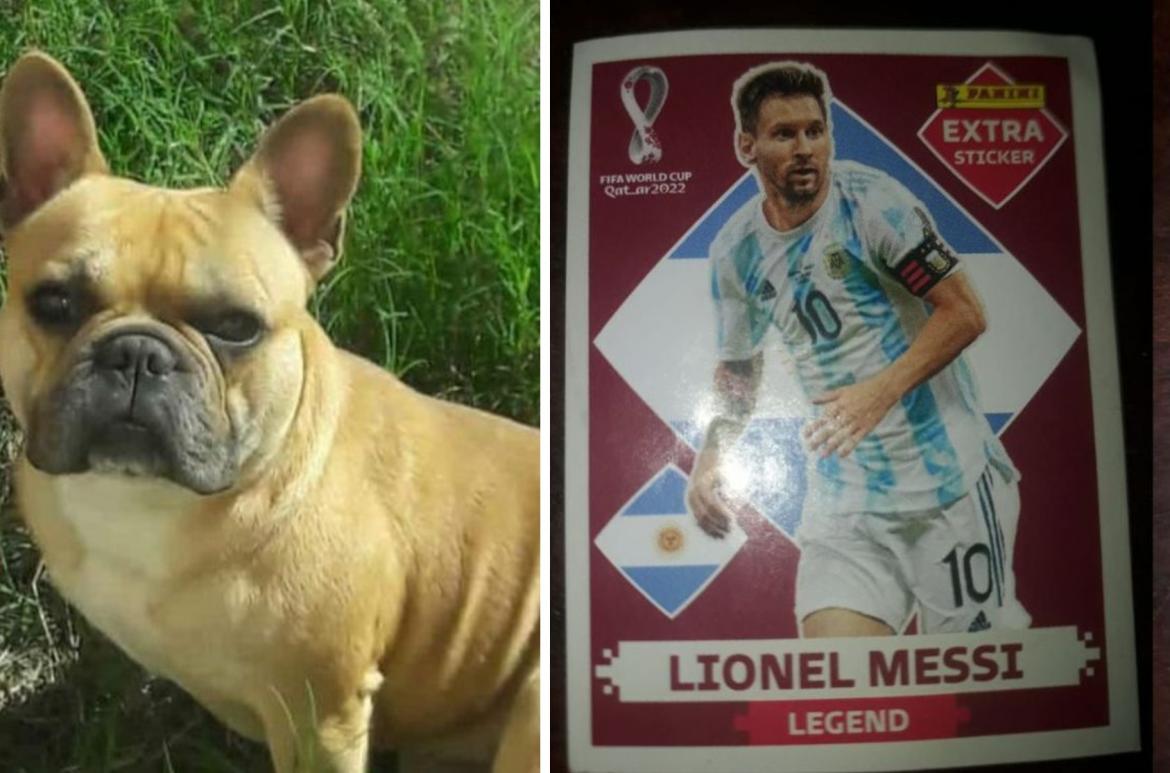 Todo por su perro: un nene ofrece la figurita de Messi por su mascota