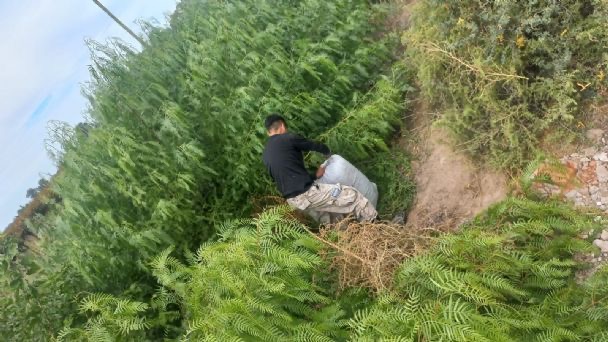Se robaron dos toneladas de pasas de San Martín y las encontraron en Caucete