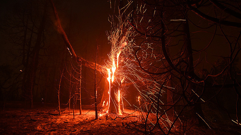 Caucete: un árbol cayó y provocó un incendio