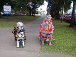 Vecinos de Santa Fe denunciaron un supuesto caso de maltrato animal, pero eran muñecos con formas de caballo y llama