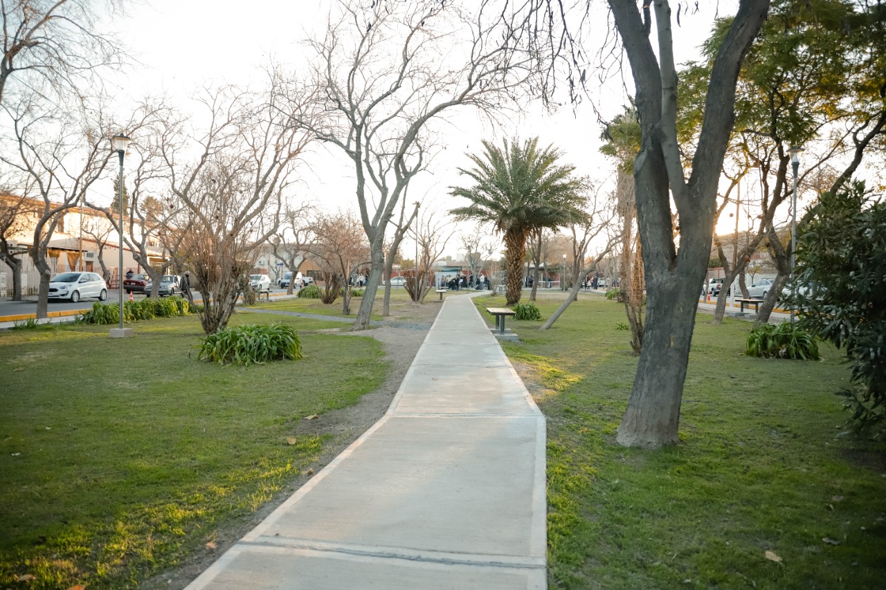 Capital continúa recuperando espacios verdes en Concepción