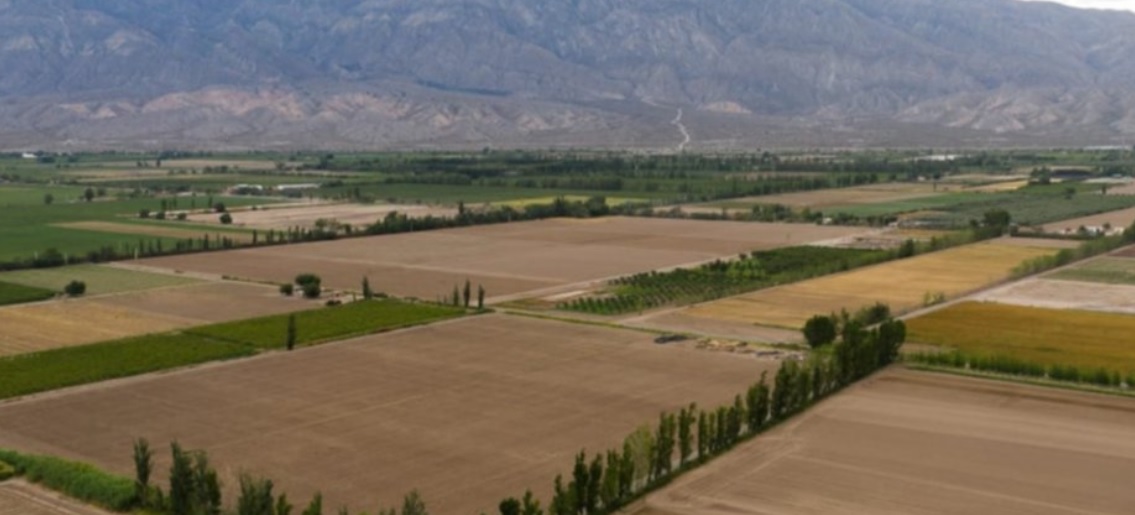 Pocito usará un drone para fumigar y desinfectar sus plantaciones
