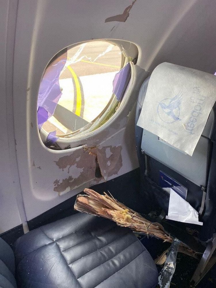 Un avión chocó contra un ave gigante y una hélice entró en la cabina de pasajeros