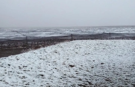 Sarmiento cubierto de nieve enamoró a los sanjuaninos 