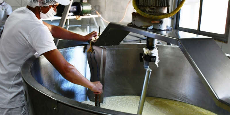 Podría subir el precio de la leche por el aumento de los insumos