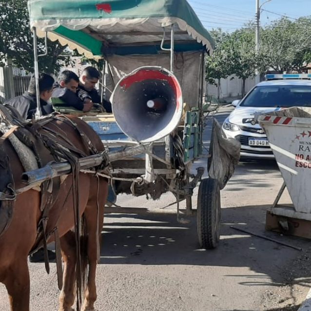 En Rawson, un caballo y su carretela se llevaron por delante a una mujer y su bebé