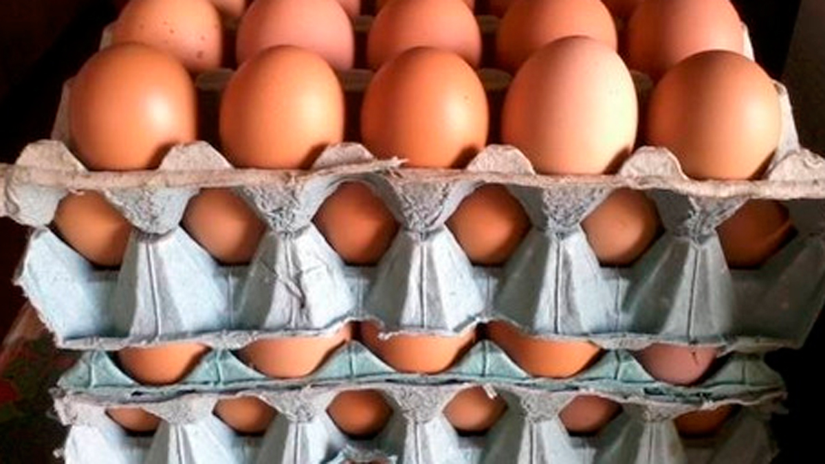En San Juan el cartón de huevos subió más de $100