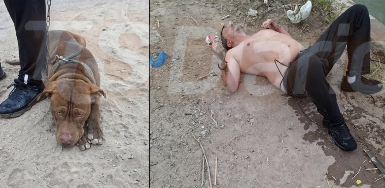 Santa Lucía: se arrojó a un canal para salvar a su perro y terminó en el hospital