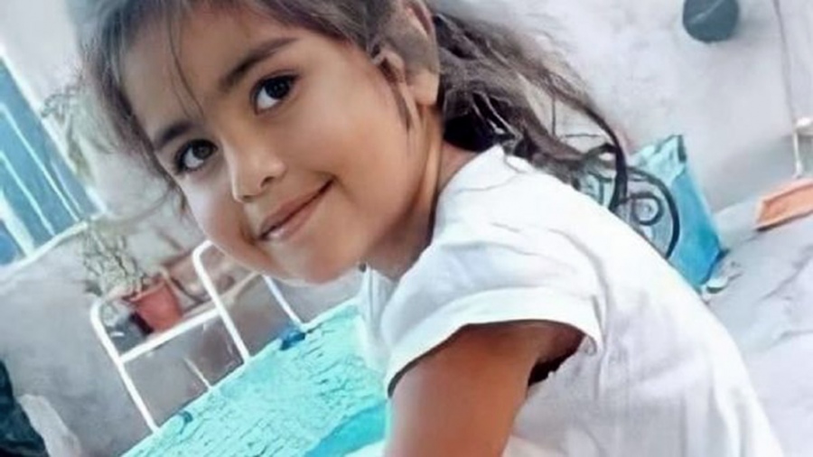 Nuevos rastrillajes por Guadalupe Lucero: a 10 meses de su desaparición aún no se sabe nada