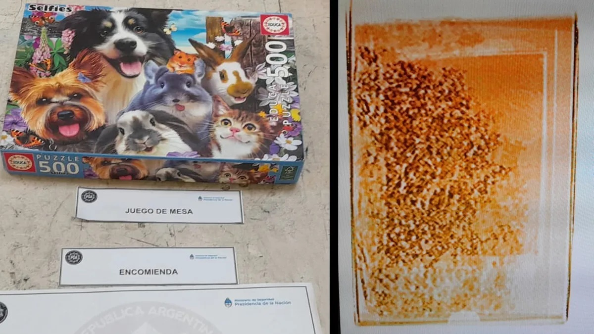 Querían enviar cocaína a la India en cuentos y juegos infantiles: están presos