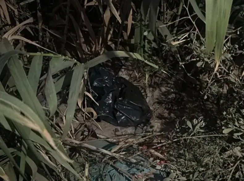 Bebé muerta: la fiscalía sospecha de la madre y de un parto clandestino